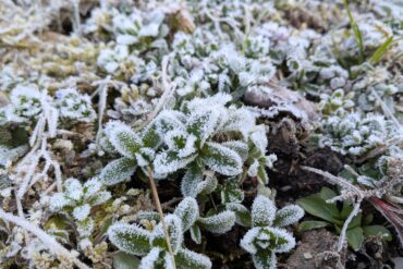 天窓から天使？😆